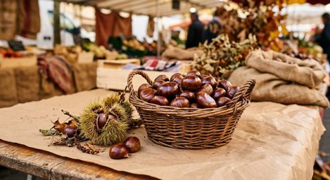 Châtaignes brillantes dans leur panier